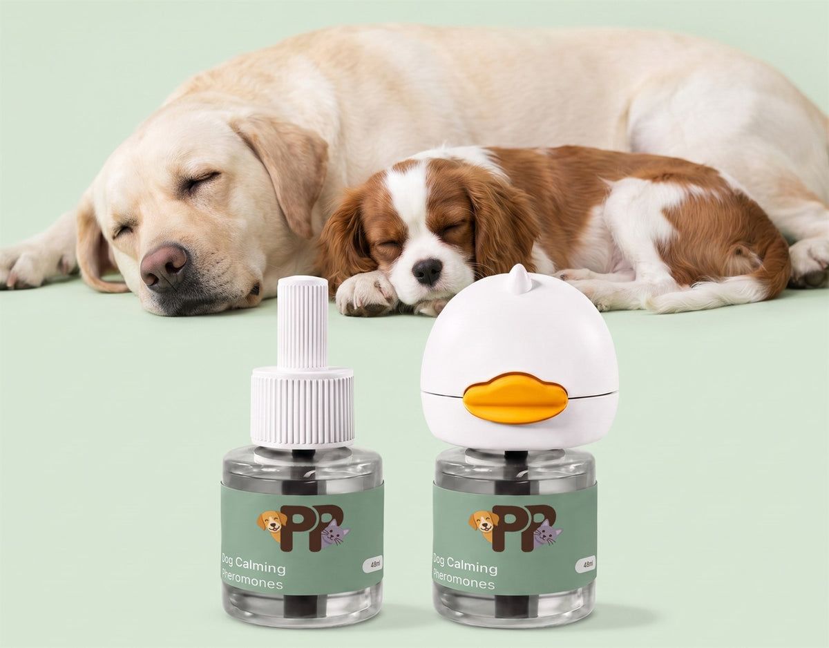 Due cani dormono tranquilli accanto a due flaconi del diffusore PurePet