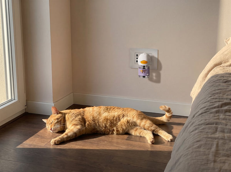 Un gatto rosso dorme disteso al sole vicino al diffusore PurePet