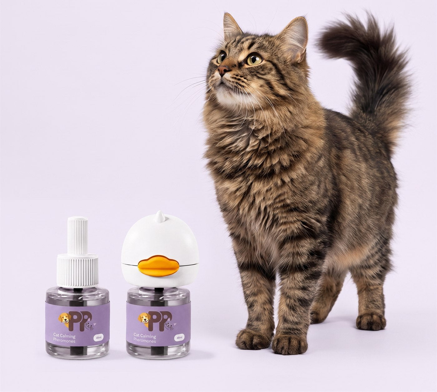 Un gatto a pelo lungo accanto ai due flaconi PurePet