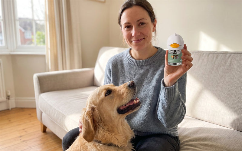 Una proprietaria mostra il diffusore PurePet accanto al suo golden retriever sul divano