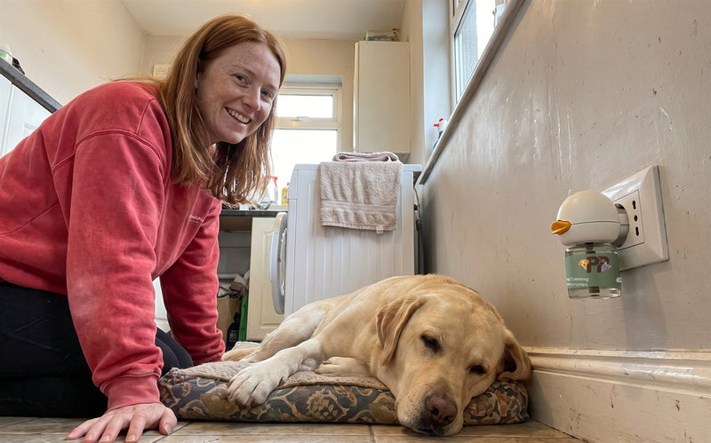 Una proprietaria sorride accanto al suo labrador che dorme vicino al diffusore PurePet