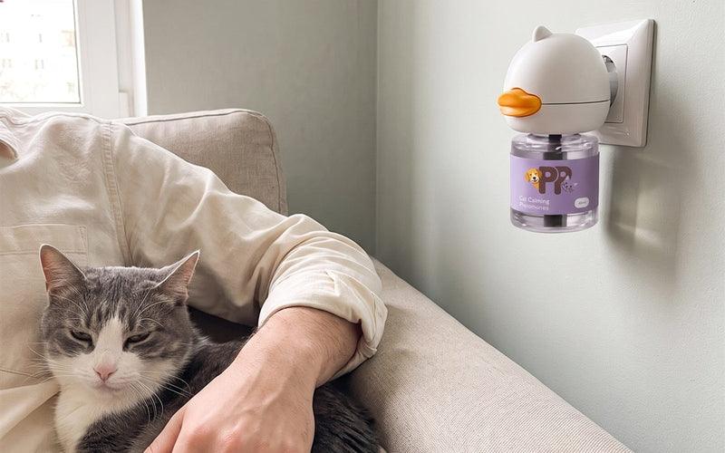 Un gatto bianco e grigio rilassato sulle gambe del suo padrone in poltrona, con il diffusore PurePet alla presa