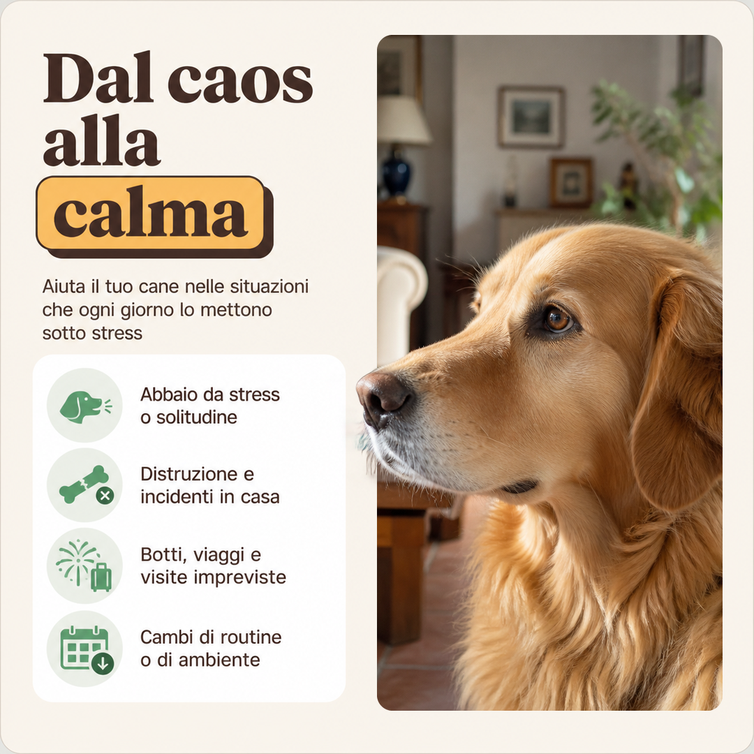 Diffusore Antistress Per Cani