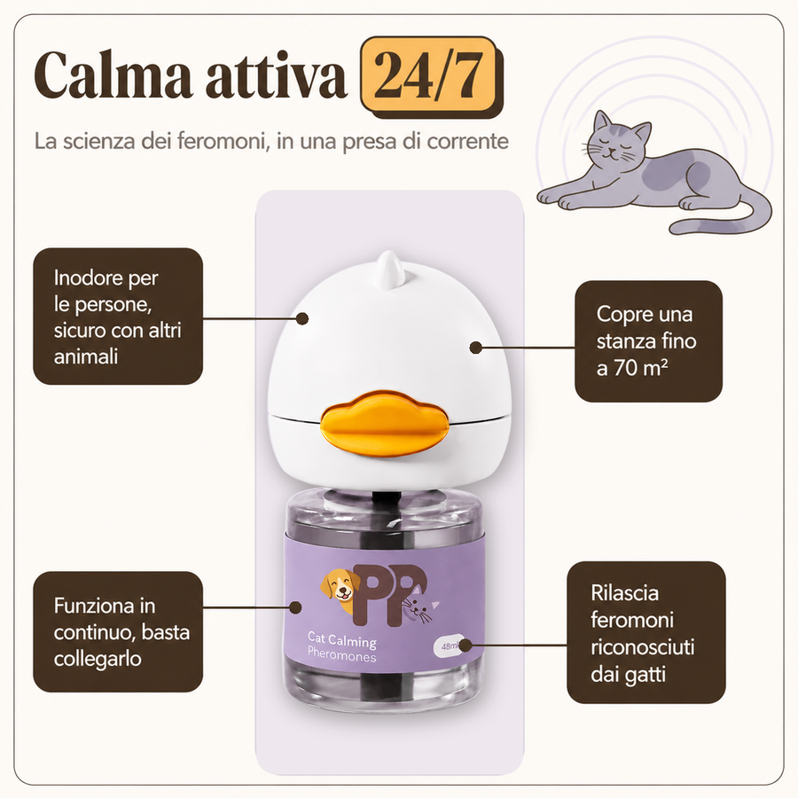 Ricariche per Gatti