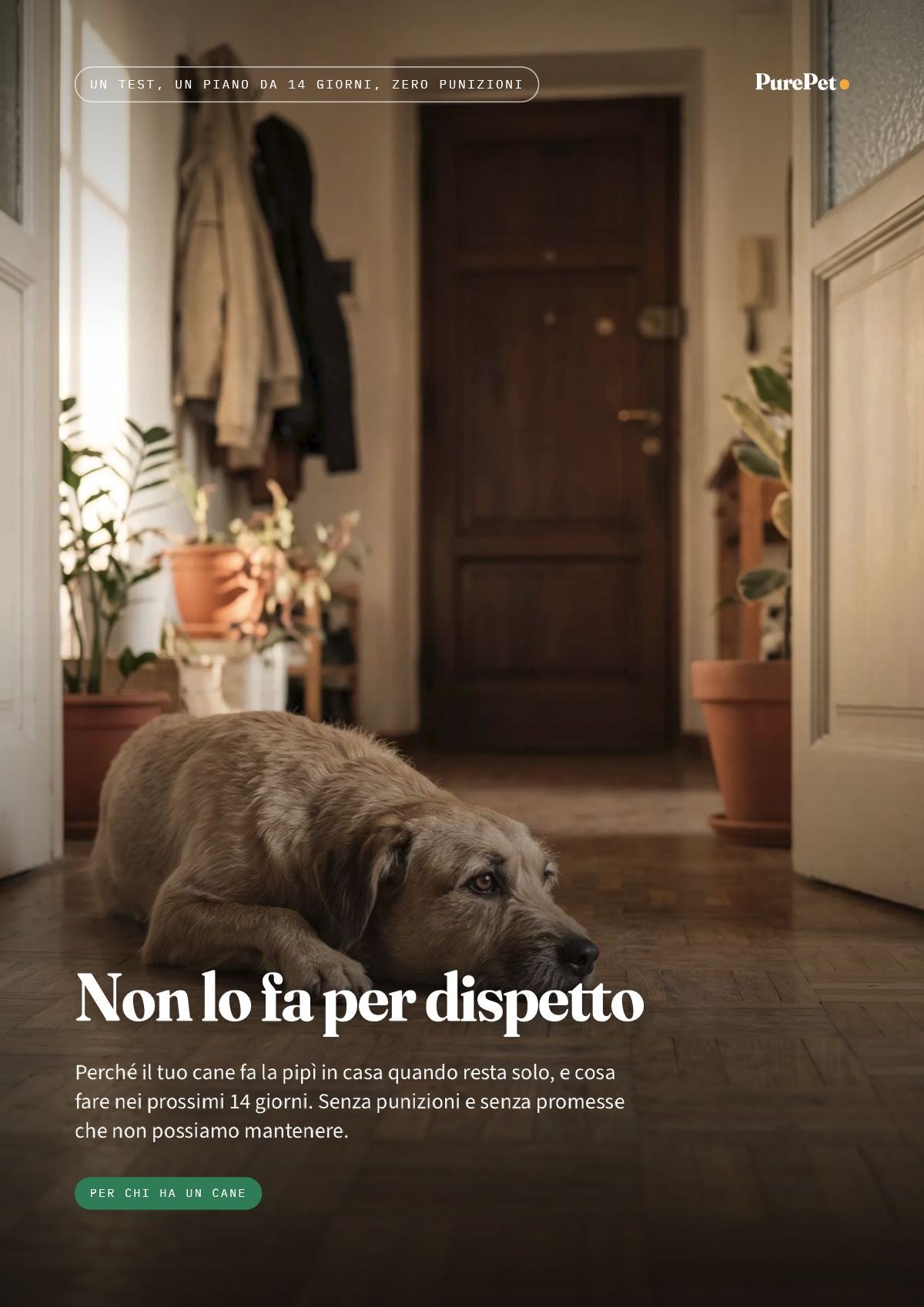 Pagina 1 dell'anteprima