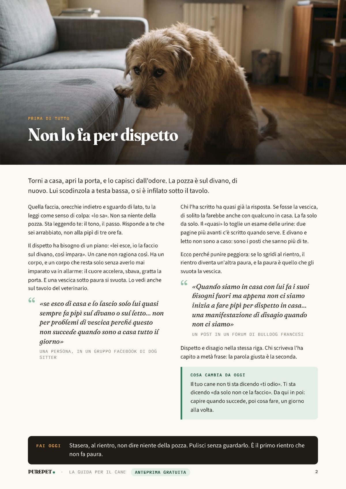 Pagina 2 dell'anteprima