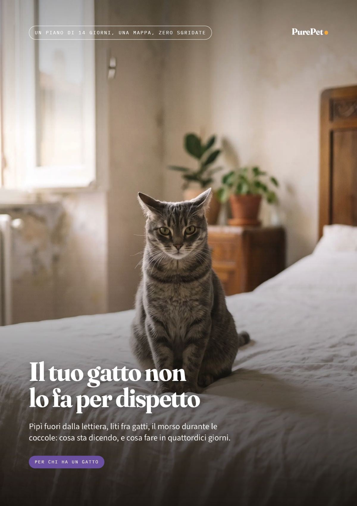 Pagina 1 dell'anteprima