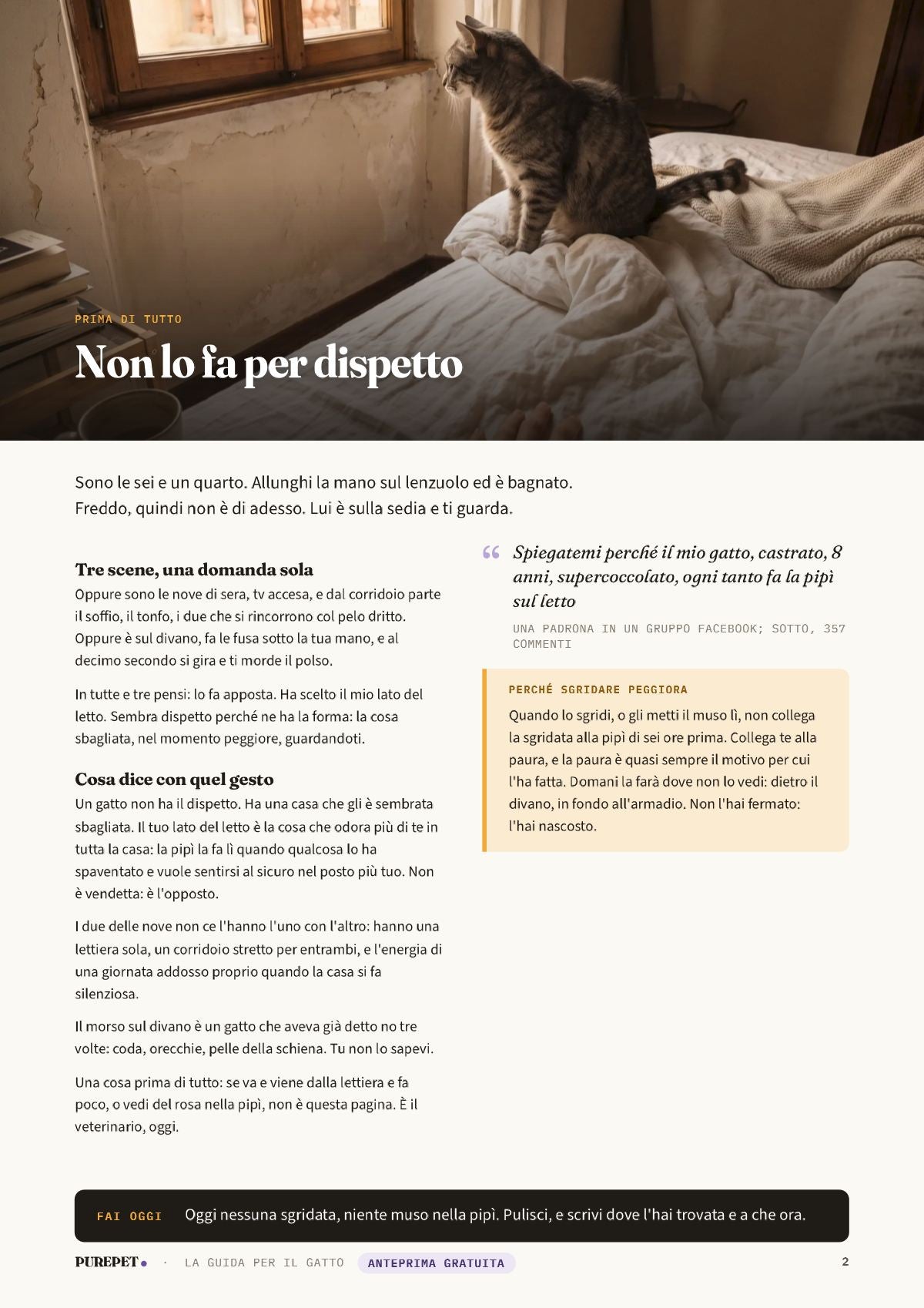Pagina 2 dell'anteprima